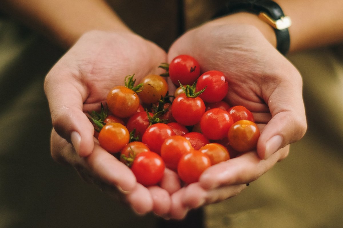 pexels_cherrytomatoes