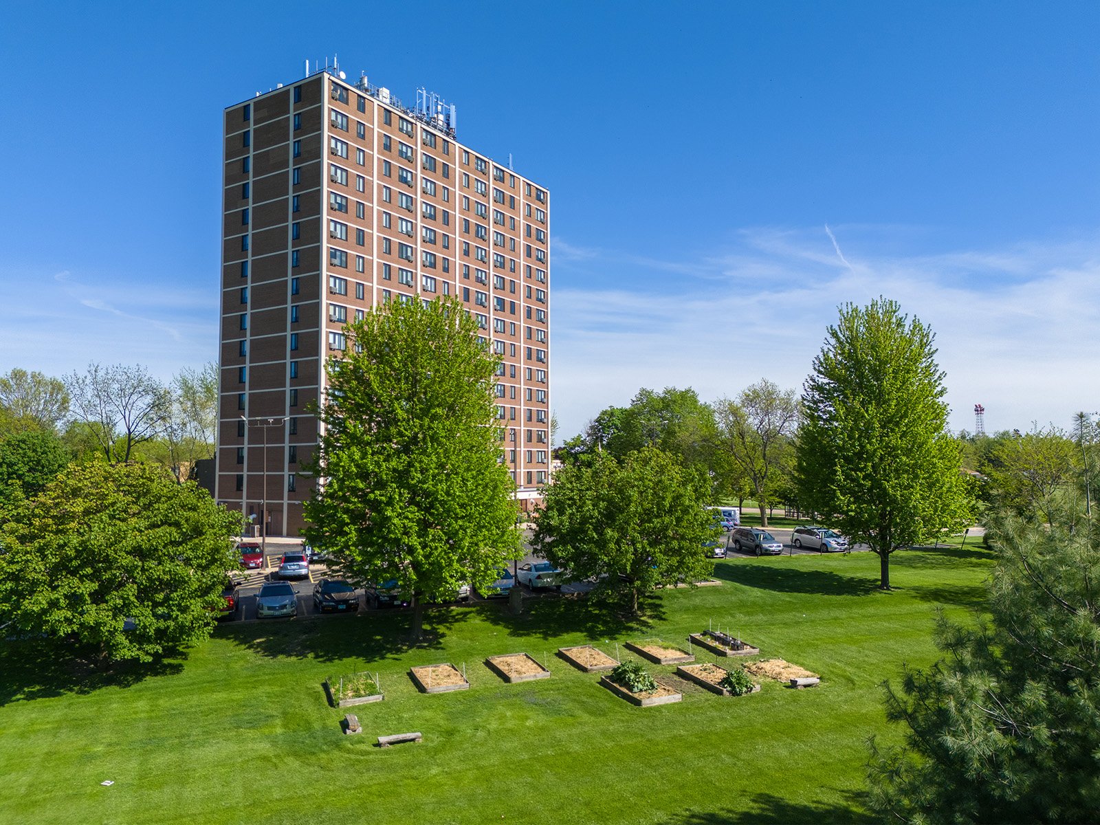 taylor_street_garden